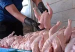افزایش قیمت ۹ گروه از کالاهای اساسی
