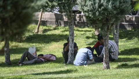 فیلم| پارک‌ها پاتوق شبانه‌روزی معتادان؛ کودکان کجا بازی کنند؟