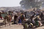 اعترافات جالب عامل كشتار خرس قهوه‌اي