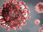افرادی که بیماری زمینه‌ای ندارند حتی آزمایش PCR هم ندهند