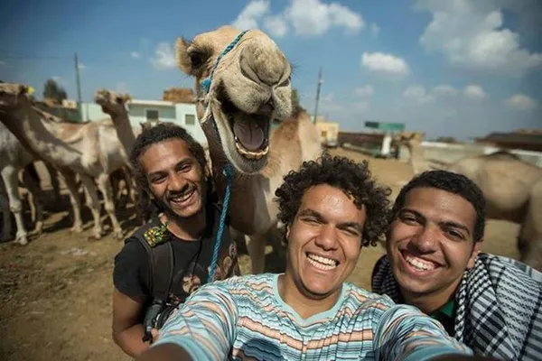 سلفی با یک شتر خوش خنده