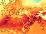 فواید مصرف خاکشیر در تابستان