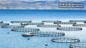 تصاویر| مسافران ساحل دریای کاسپین
