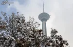 بازدید همسر رئیس‌ جمهور از برج میلاد