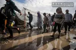 بقایی: «غزه» دشوارترین آزمون سازمان ملل در آستانه ۸۰ سالگی است