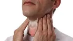 غذای پرچرب چه بلایی بر سر بدن می‌آورد؟