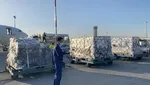 معاون گمرک: داروهای کرونا پای پرواز ترخیص می‌شوند