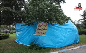 فیلم| تصاویر جدید از آتش‌سوزی گسترده در انزلی