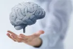 بخشی از مغز انسان در زمان خستگی به خواب می‌رود