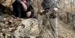 شکارچیان غیرمجاز در شمال دستگیر شدند