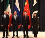 ایرانیان خارج از کشور فرصتی بی‌بدیل هستند