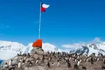 کرونا از ۲۹۰ میلیون نفر عبور کرد