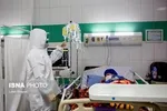 کرونا جان کودک ۶روزه را در بوشهر گرفت