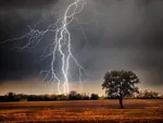 مرگ تلخ عابر ۸۰ ساله در برخورد با قطار
