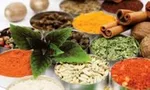 خواص باور نکردنی مفيدترين عضو خانواده آجيل