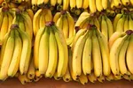 مصباحی‌مقدم: بسیاری از کالا‌های وارداتی به دلار ارتباطی ندارد