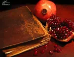 تصاویری جالب از دعوای پرنده‌ها