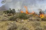 آتش‌سوزی در پاساژ تیراژه تهران/ احتمال محبوس شدن ده نفر در محل حادثه