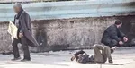 کشف صابون تریاک در گمرک! +عکس