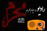 علت گرانی داروهای جدید سرطان در کشور | هزینه مصرف داروهای جدید سرطان بین ۱۰ تا ۱۰۰ میلیون در هر نوبت