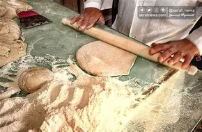 تصاویر / نان بلوط