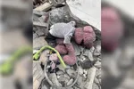 مصطفی راغب و محمد صادقی میهمانان عید قربان «جناب‌خان»