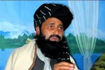 کشته شدن روزانه ۱۸ نظامی در افغانستان