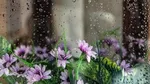 چه سالی در ایران ۸ متر برف بارید؟