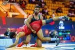 محسن‌نژاد فرنگی کار کشورمان با اقتدار طلایی شد