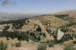 تهدید خاموش در سفره شیرازی‌ها؛ آبیاری محصولات کشاورزی با پساب فاضلاب