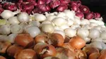 کاهش ۱۵ درصدی قیمت پیاز در راه است