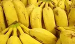 اسیدچرب به مقابله با بیماری ام اس کمک می‌کند