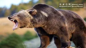 تصاویر / دیدار اعضای ستاد کنگره بزرگداشت شهدای استان آذربایجان شرقی با رهبر انقلاب