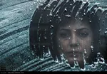 فیلم «مرگ ماهی» به کارگردانی سید روح الله حجازی ساخته شده است.خلاصه فیلم:همیشه فکر می کردم ماهی ها موقع مردن، وقتی لب می زنن، یه چیزی می خوان بگن که من اونو نمی شنوم