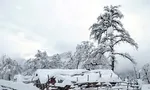 آخر هفته مواج دریای خزر/شمال خنک می‌شود
