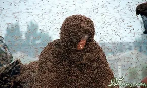 عکس/ هنر خیابانی 