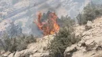 استقلال خوزستان طلبم را ندهد، به فیفا شکایت می‌کنم