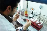 تماشای تلویزیون با مغز جوانان چه‌می‌کند؟