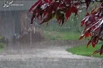 هواشناسی امروز ۱۶ اسفند؛ بارش برف و باران ۵ روزه در برخی مناطق کشور/مردم تهران منتظر بارش های سنگین تر باشند