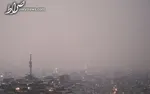 ۷ ماده غذایی مفید برای مردان