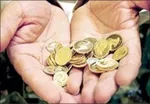 برخی از عدم نظارت تخصیص ارز میلیارد‌ها تومان، ثروت اندوزی می‌کنند