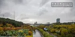 ثبت دمای ۵۰ درجه و بالاتر در ۹ شهر خوزستان