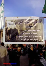 حبیب کاشانی راهی کربلا شد