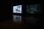 نصب ۱۰ اثر هنری باورنکردنی در سال ۲۰۲۱+عکس