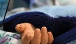 همراهی با پلیس در یک شب پر ماجرا  /اینجا خواب حرام است