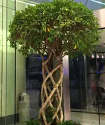 پاسخ چین به درخواست عراقچی : ما آماده ایم