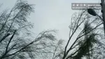آغاز رگبار و کاهش دما در ۹ استان