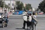کاهش صادرات گل وگیاه ایران،چرا؟