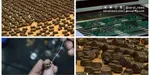 محکومیت ترور خبرنگاران شبکه‌های المنار و المیادین در لبنان توسط یونسکو