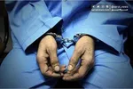 قتل برومند نجفی؛ پرونده‌ای که محیط‌بانی کشور را تکان داد